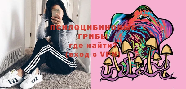 крисы Майский