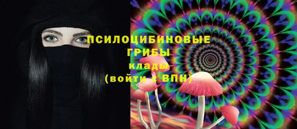 крисы Майский