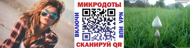 Галлюциногенные грибы MAGIC MUSHROOMS Купить закладки Канск